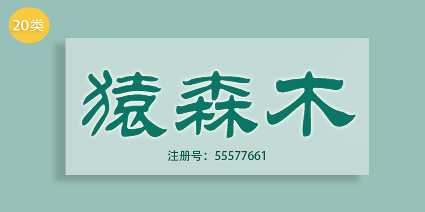 20類家具用品