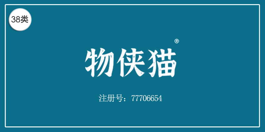 38類通訊服務(wù)