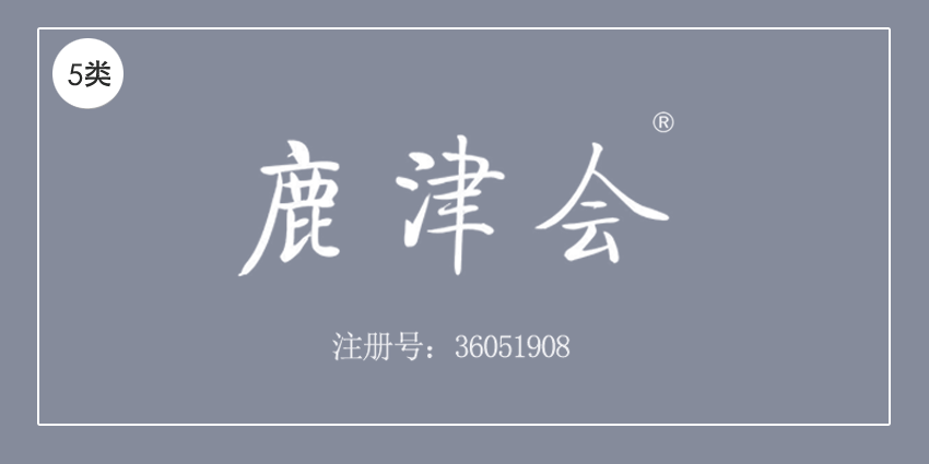 05類藥品制劑