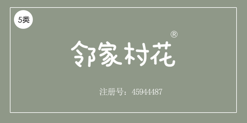 05類藥品制劑