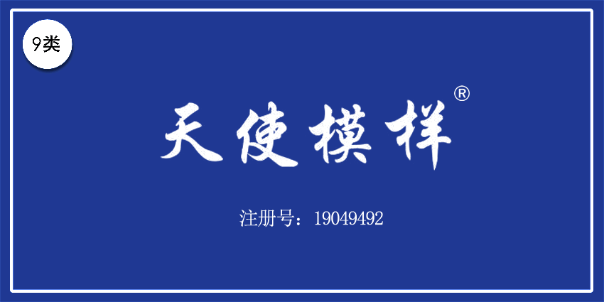 09類電子電器