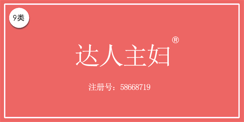 09類電子電器