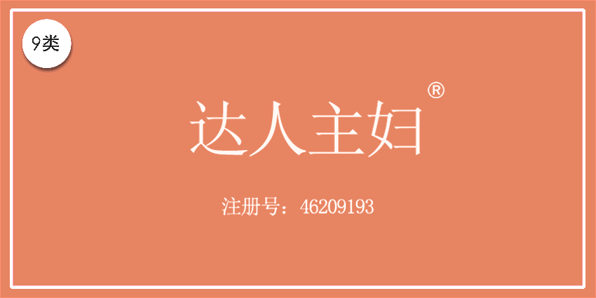 09類電子電器