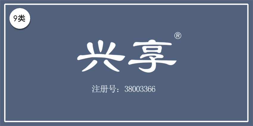 09類電子電器