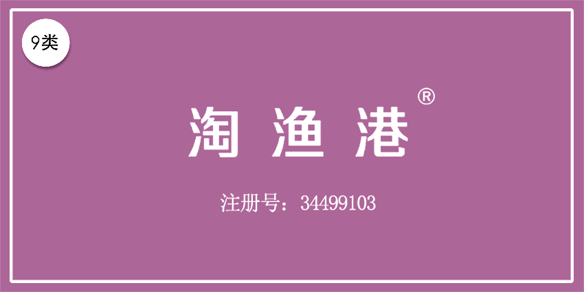 09類電子電器