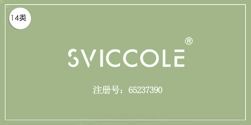 14類珠寶鐘表