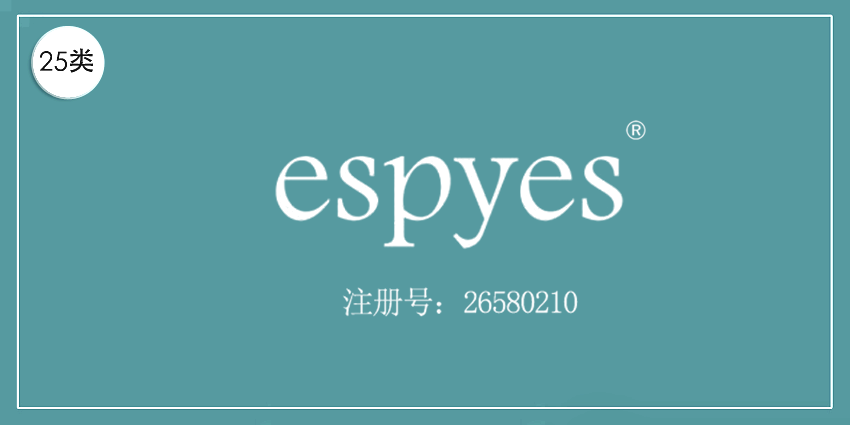 25類服裝鞋帽