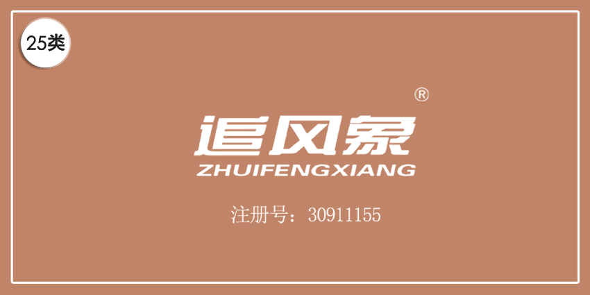 追風象